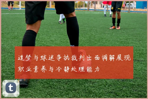 追梦与球迷争执裁判出面调解展现职业素养与冷静处理能力